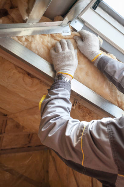 Best Insulation Inspection Services  in Olivia, MN